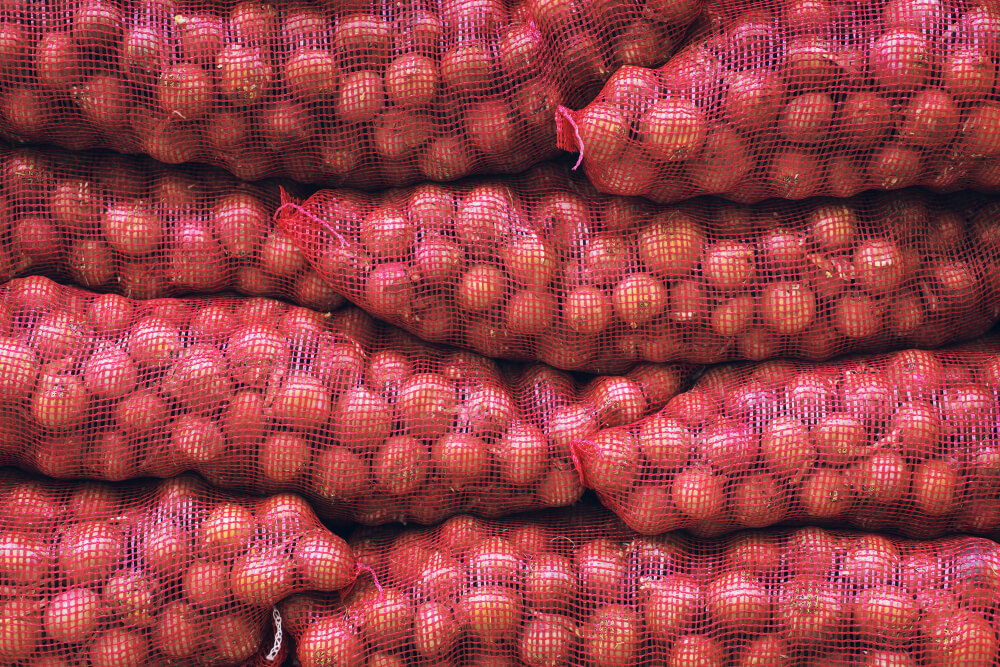 Onion Export From India